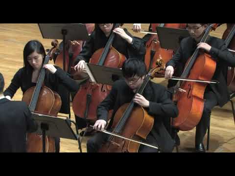 Tchaikovsky - Andante Cantabile from String Quartet, Op. 11