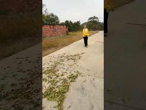 Electric Cordless & Handheld Leaf Blower, 2 X 4.0Ah Batteries and Charger Include #turbo #shorts 57