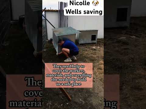 For any help consider donating link in bio to save a stray life in Los Angeles #rescuelife