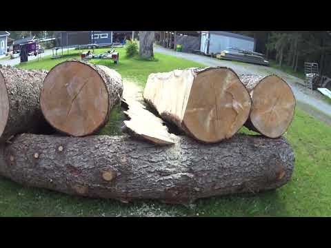 Erikoisempi savotta tällä kertaa