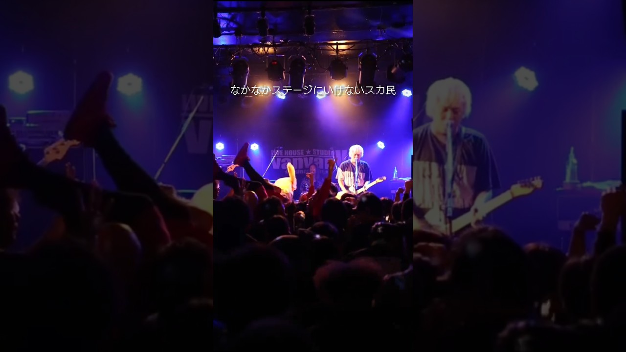 なかなかステージにいけないスカ民 #プピリットパロ #邦ロック #スカ #スカダンス #メロコア #音楽 #ska #japaneserock #skapunk #shorts #short