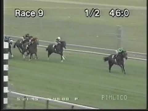 Roman Handicap - Pimlico - May 21, 1995 - Bold n Flashy