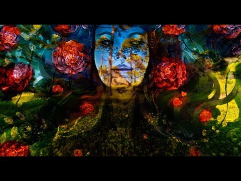 My Revolution Lives In This Body - Written by Eve Ensler, Performed by Rosario Dawson