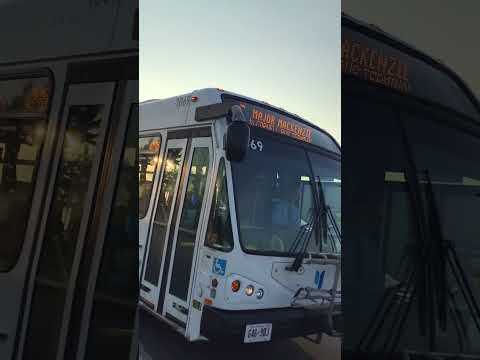 #shorts YRT 1069 on route 25 Major Mackenzie Drive East to Cornell Bus Terminal