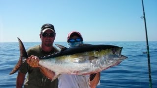 preview picture of video 'Islamorada 30# blackfin tuna and dolphin'