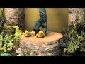 Sesame Street Number 3 In The Forest