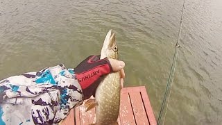Рыбалка в железноводске с выдачей удочек