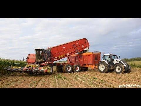Ensileuse Dewulf RB 9000 T - Travagri Tourpes