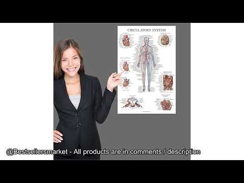 Top 5: The Best Selling Science Education Charts & Posters on Amazon