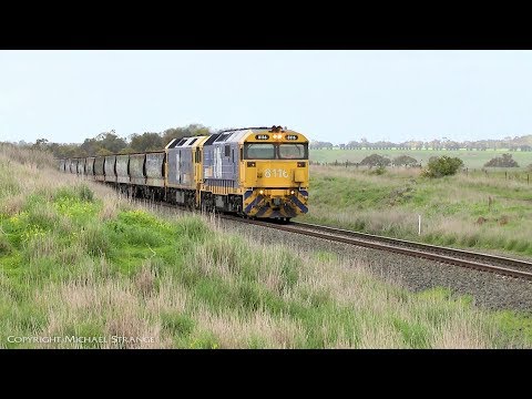 7731V Pacific National Grain Train (2/8/2019) - PoathTV Australian Railways