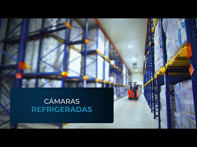 imagen-video-thelogisticsworld