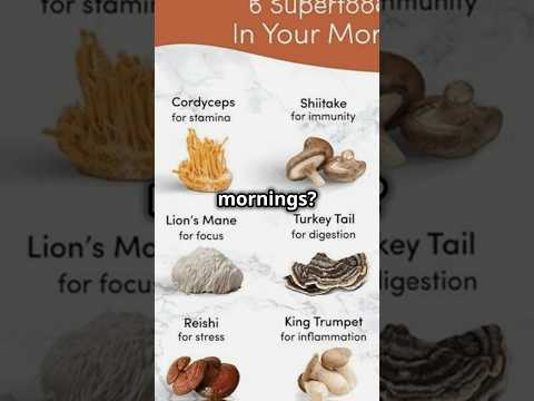 Elevate your lifestyle with Ryze mushroom coffee. https://www.tiktok.com/t/ZTNvwPAcB/