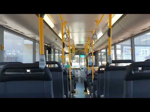 Transperth Mercedes-Benz O405NH/Volgren CR225L TP1568 | Service 902TR (1)