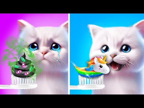 Rette diese arme Katze! 🙀 Katze kommt ins Gefängnis! ✨Gadgets und Hacks für Haustierbesitzer