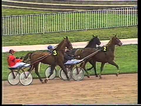 Prix de l'Ile et Vilaine - Enghien - 07/02/1995