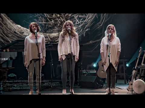 Troiselle - Le coeur est un oiseau