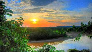 Nature's Tranquility - Amazon Rainforest Suite