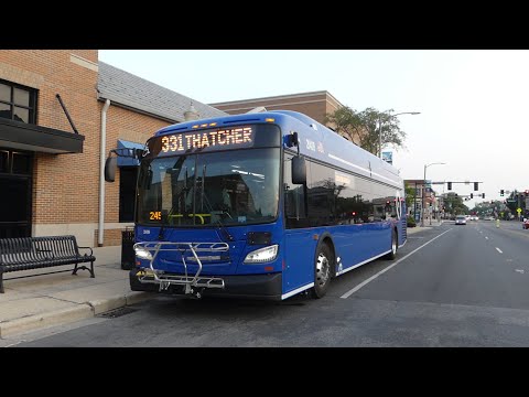 Pace 331 Bus Schedule