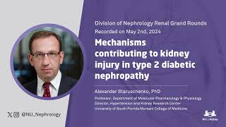 Mechanisms Contributing to Kidney Injury in Type 2 Diabetic Nephropathy