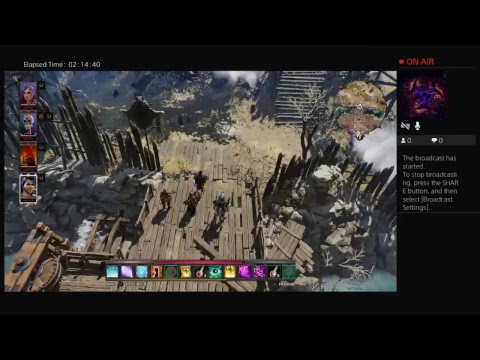 Divinity: Original Sin 2 pt 50