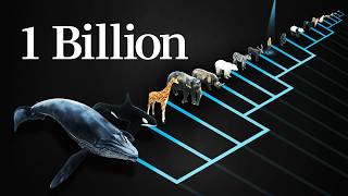 Why Does Every Mammal Get 1 Billion Heartbeats in Their Life? thumbnail