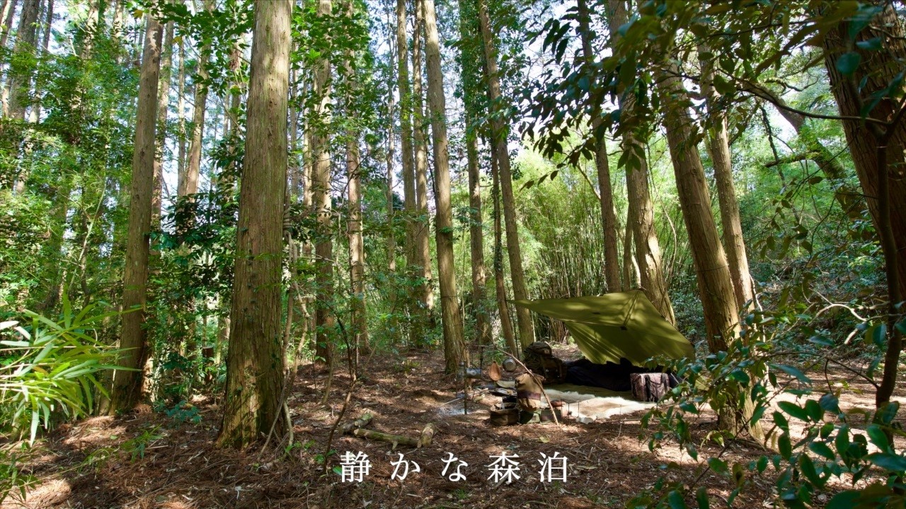 小型タープ、ひとり森で野営ソロキャンプ/ヘリコンテックス スモールタープ/プライベートヴィレッジウッドウッド