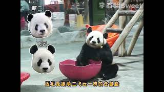 kid fuuny,songs for kids,for kids,baby songsOkolele,oko lele,Oko and Lele,oko lele officail,Oko 3