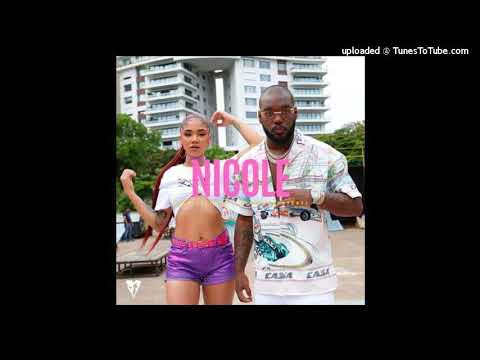 Ceky Viciny X Lennis Rodriguez - Nicole - DjMixerEdit Intro Outro 110Bpm