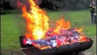 Les Thugs - Burn all the Flags