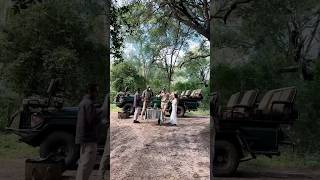 Download lagu Honeymoon Safari South Africa | Phinda Forest Lodge – Adriana’s Favorite 🌿✨ mp3 Download lagu Honeymoon Safari South Africa | Phinda Forest Lodge – Adriana’s Favorite 🌿✨ mp3