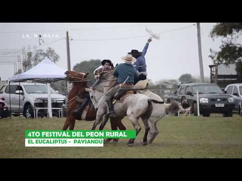 4ta Fiesta del peón rural - Eucalipto, Paysandú - La Rodaja Fotografía
