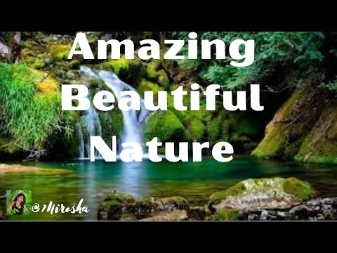 Amazing Beautiful Nature #Beautiful #Nature