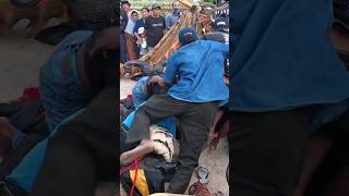 Download lagu 😂 Topi Biru Mrenges Trus Njepat Kalap Jahiras Manikmoyo #shorts mp3