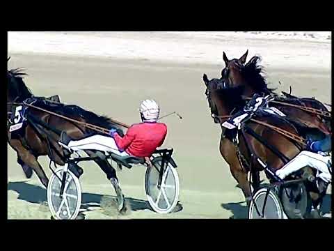 Napoli Trotto 18/01/2022 - 2ª corsa