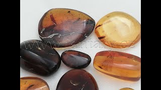  Křídový jantar SJ-37