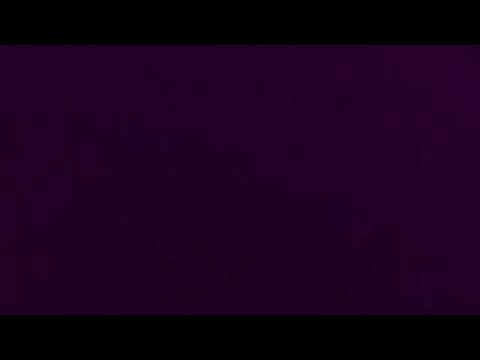 Amazing! Bird sounds from the lyre bird   David Attenborough   BBC wildlife