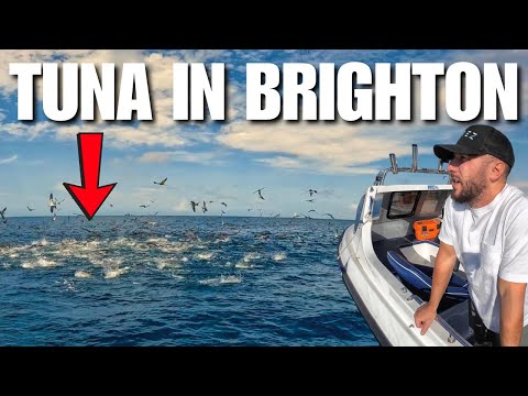 TUNA in Brighton?! | Can I Catch a Bass for Dinner?