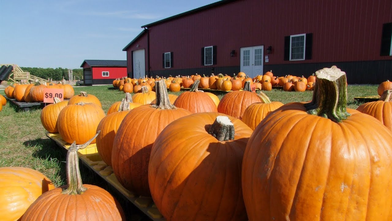 Spooktacular Halloween Show 10-7-2018