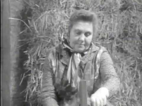 Bäuerliche Flachskultur - 3. Brechen, Schwingen, Hecheln (Kurzfassung)