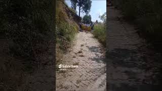 NATIONAL SERVICE SCHEME