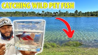 Monster Mike: Catching WILD PET FISH for New FISH TANK!