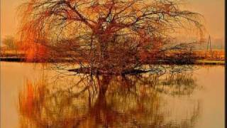 My Choice  - Mozart: Piano Concerto #21 (Elvira Madigan)