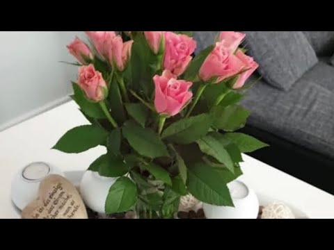 🔮WOCHENAUSBLICK 31.10.-7.11.2022🥳FÜR ALLE 12 STERNZEICHEN INDIVIDUELL WAS AM START🎉WOCHENHOROSKOP