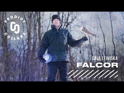 The Airborn Falcor l Prodigy Collab with Cale Leiviska