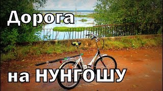 Рыбалка в садоводстве пупышево