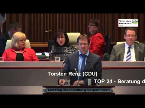 30.01.2014, Torsten Renz, CDU-Fraktion, Landtag M-V, Debatte zur Arbeitsmarktpolitik