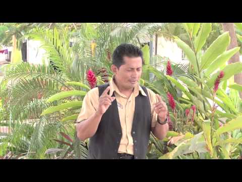 EL DAN DAN   PROTESTA DE AMORexito original video official