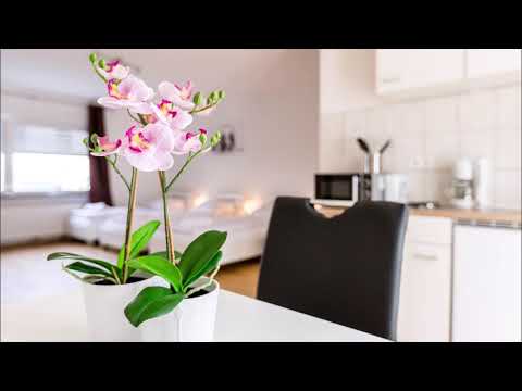 🏠Ferienwohnungen und Ferienhäuser in Bergisch Gladbach 🏠