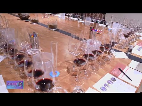 Learning how to blend your own wine at Chateau Ste...