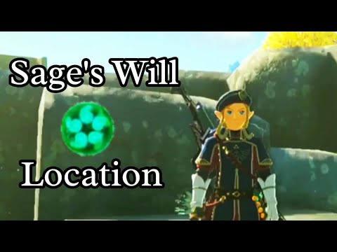 Sage's Will location Zelda Tears Of The Kingdom